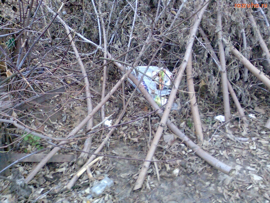 Курск - Ветки