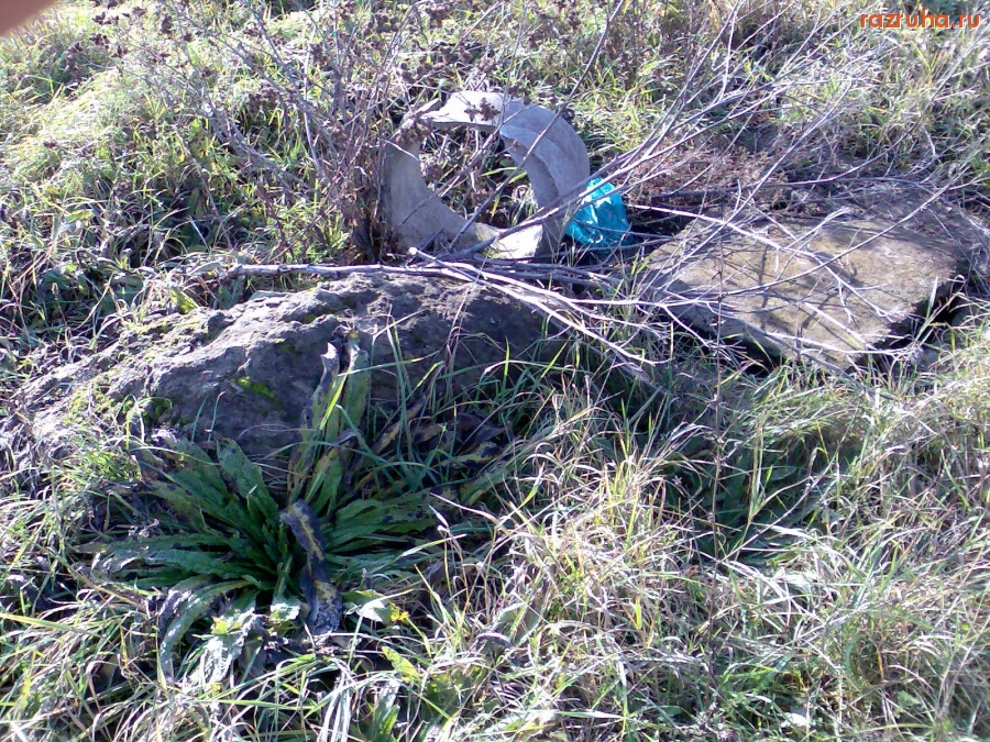 Курск - Подборка ерунды с Северо-Запада