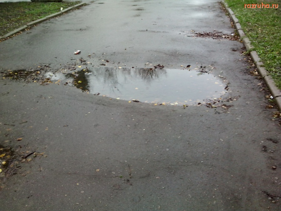 Курск - Каштановая аллея