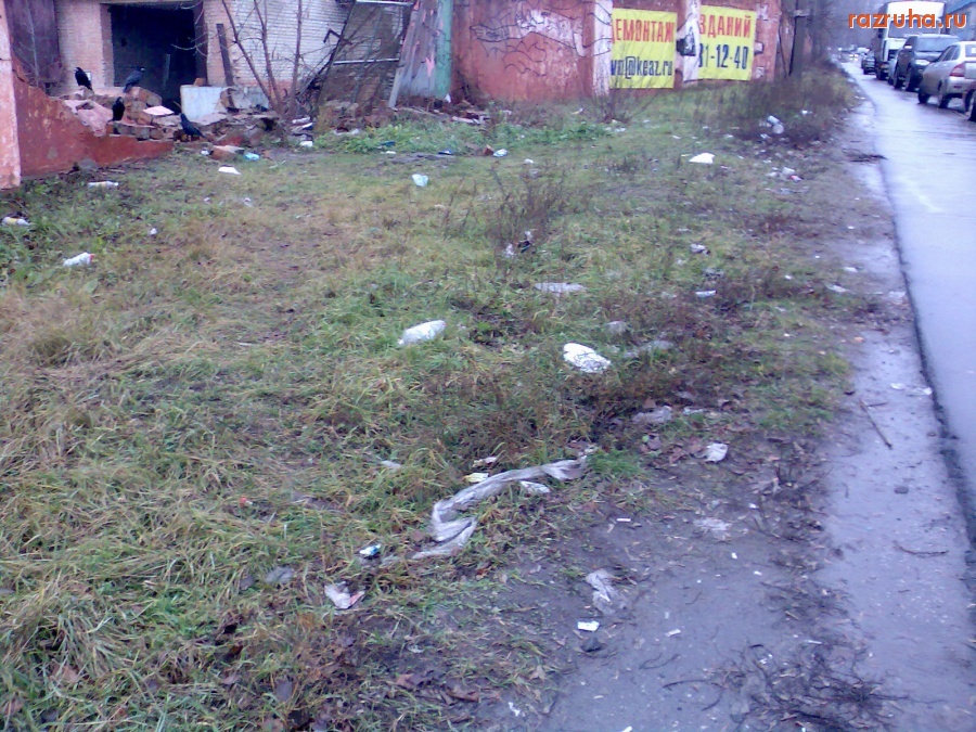 Курск - Свинство возле 