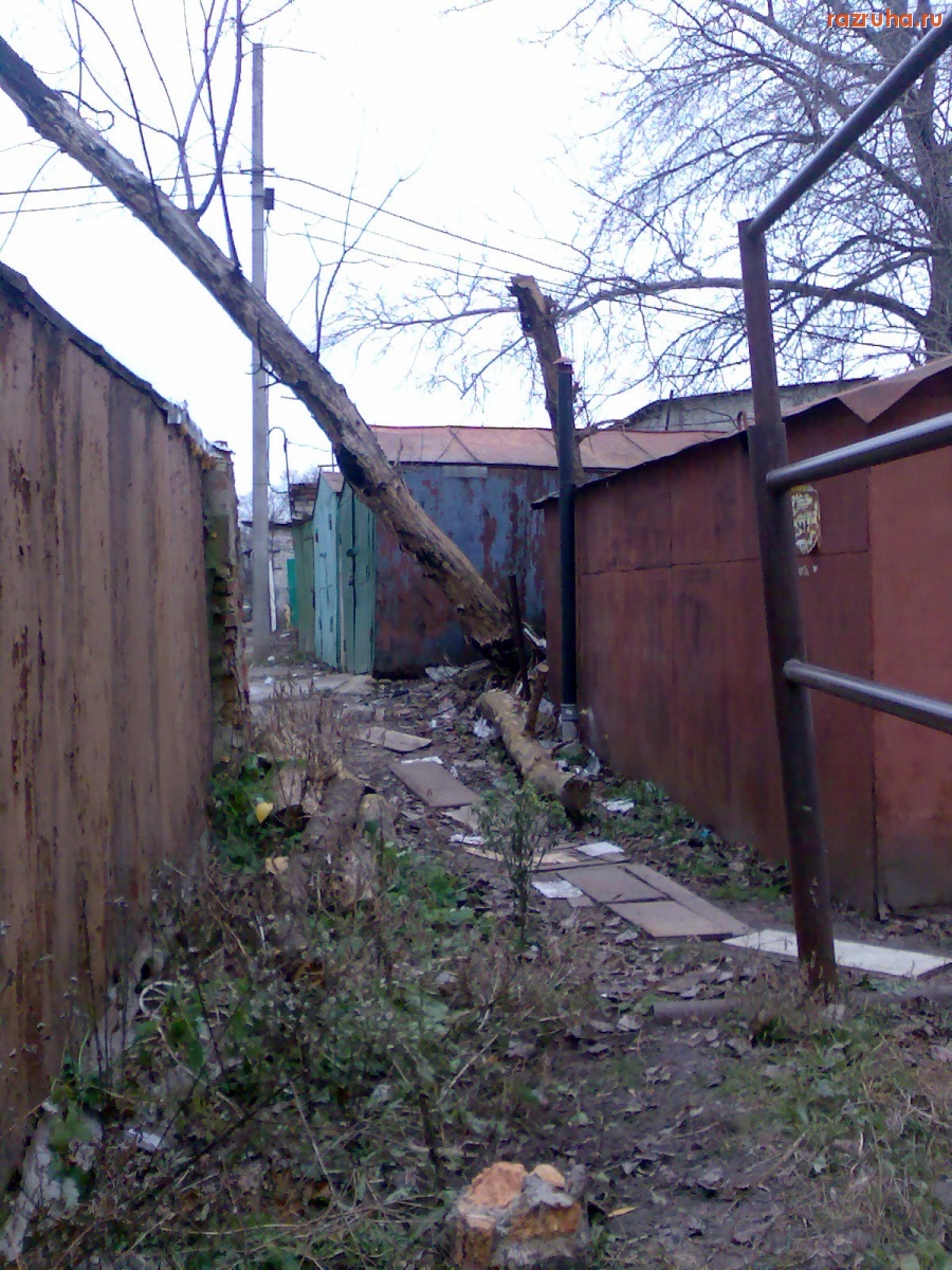 Курск - Чистая помойка