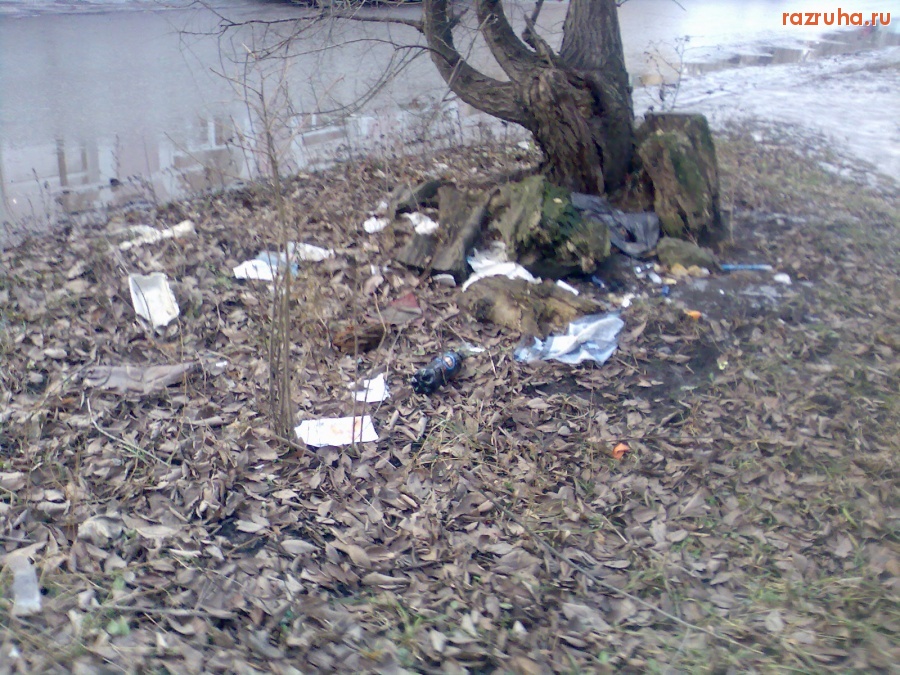 Курск - На улице