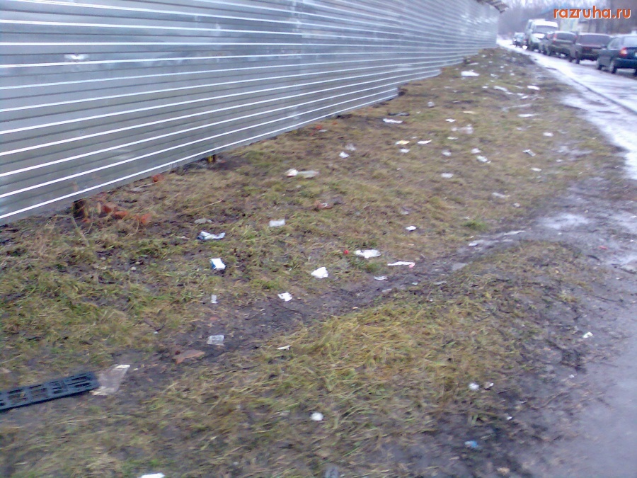 Курск - Мусор в насаждениях у 