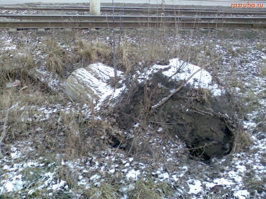 Курск - Пень упал