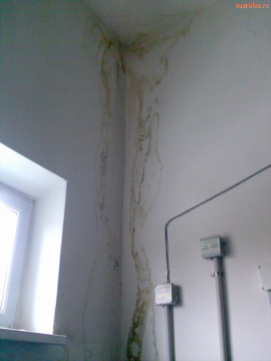 Курск - Подборка из подъездов домов