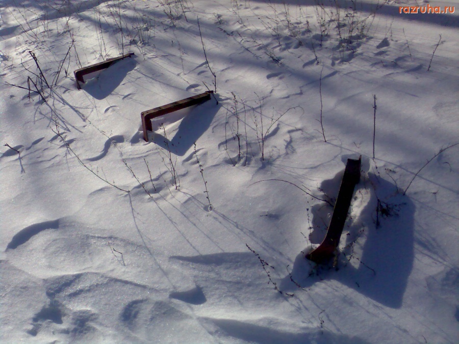 Курск - Лавочка