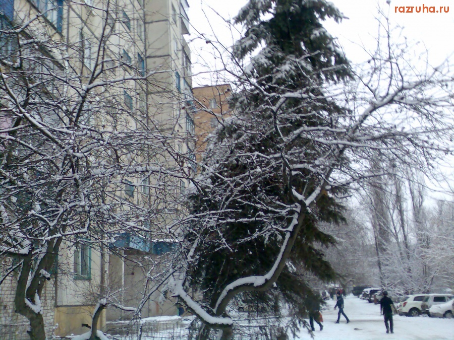 Курск - Ёлка покосилась