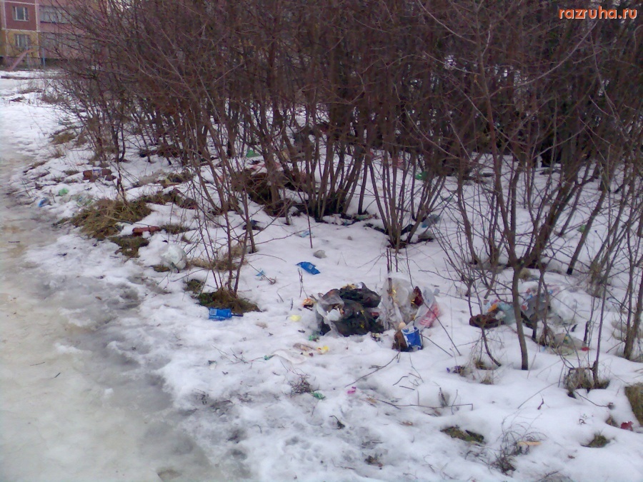 Курск - Мусор