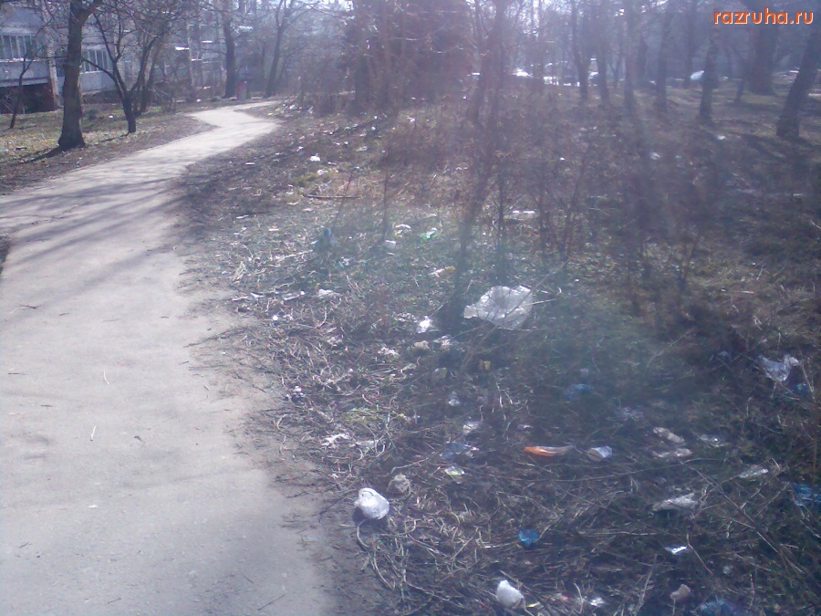 Курск - Мусор на Павлуновского