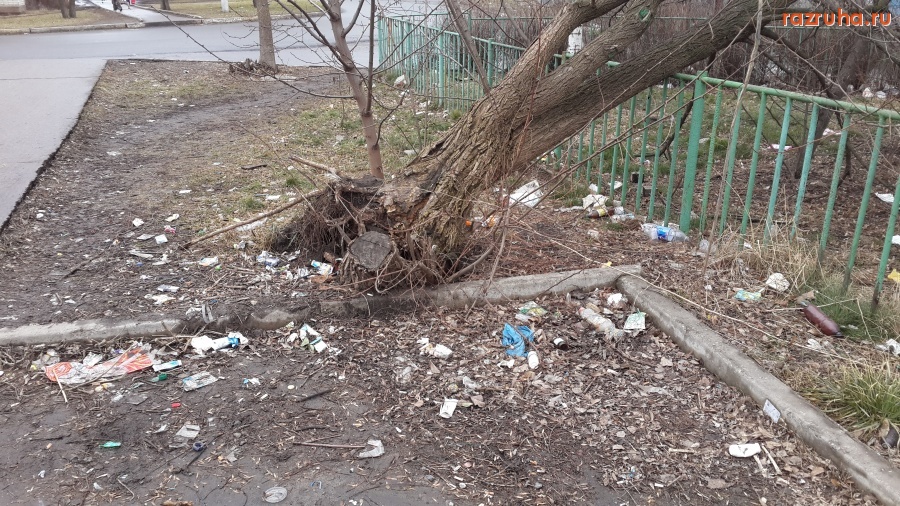 Курск - ул. Серёгина