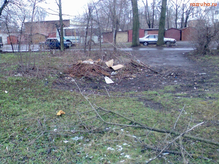 Курск - Кучи веток на Народной