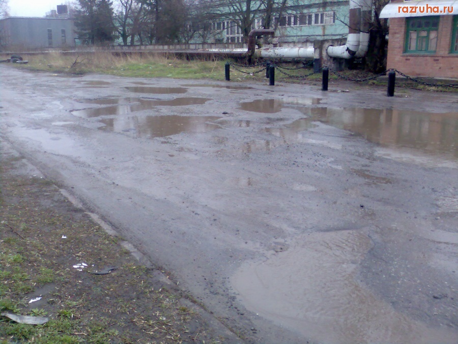 Курск - Возле пивзавода свинство