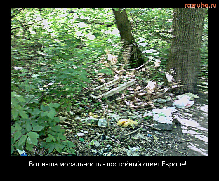 Курск - Мусор на лесной дороге