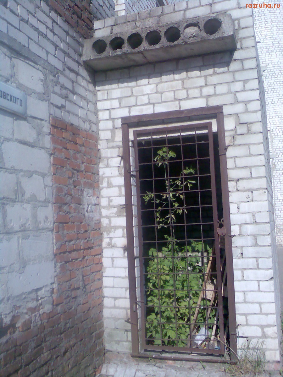 Курск - Дерево закрыли