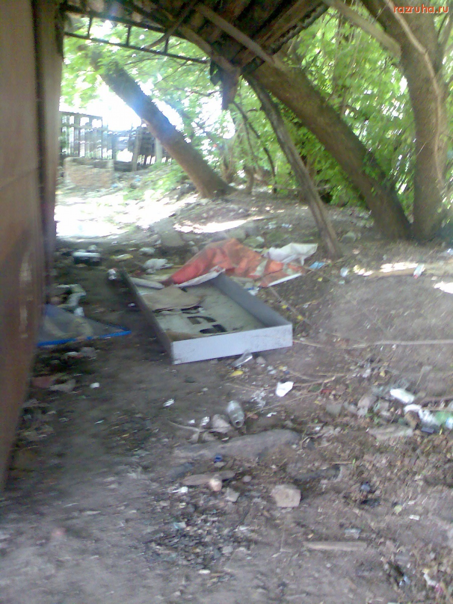 Курск - Свинство на улице Карла Либнехта