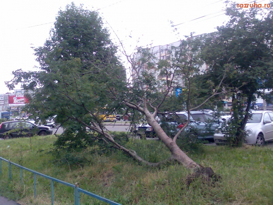 Курск - Упало и растёт