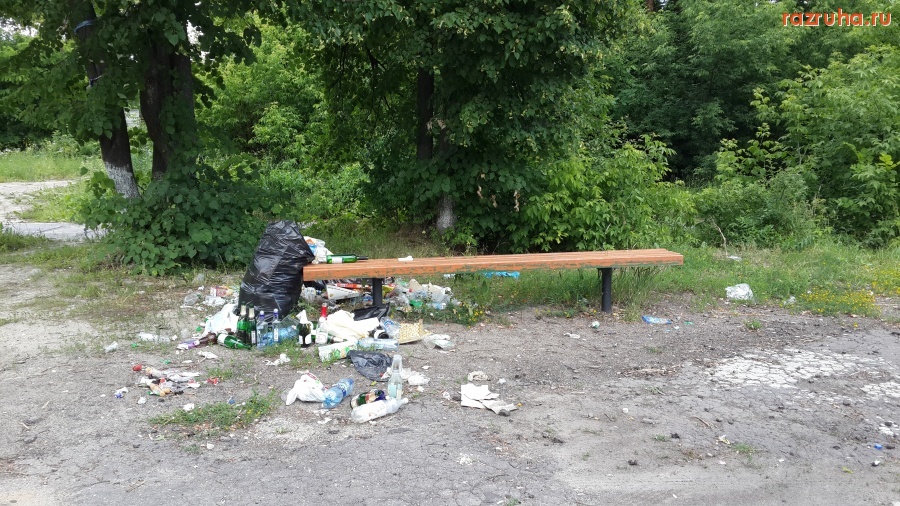 Курск - Мусорный натюрморт