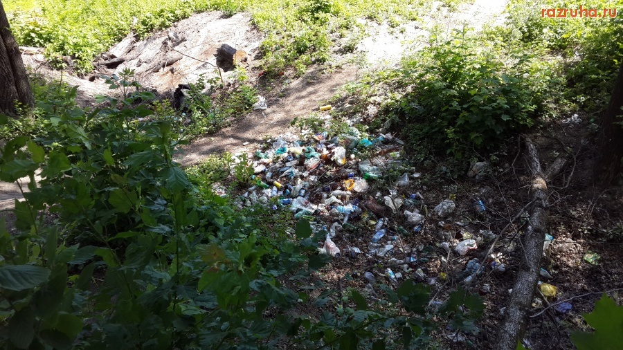 Курск - Река Сейм около лодочной станции