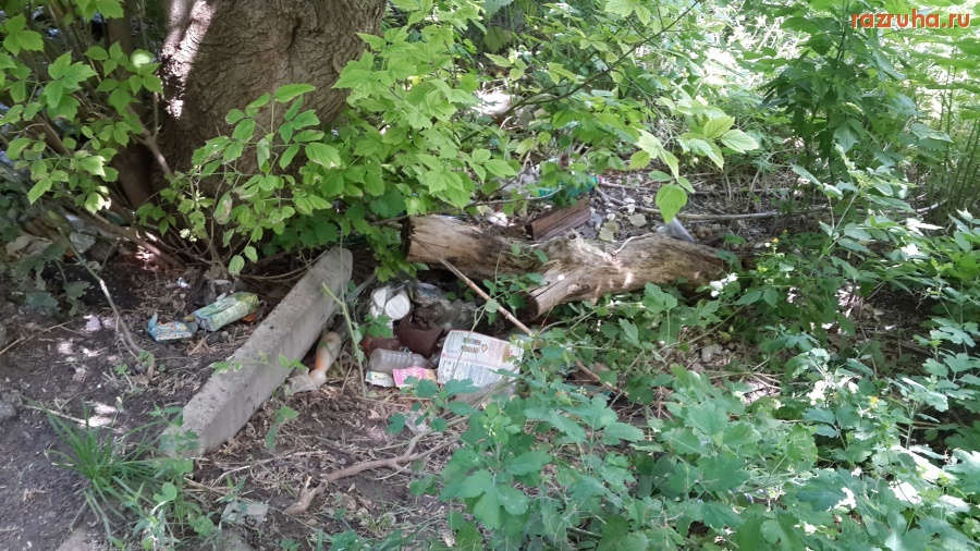 Курск - ул. Кольцова