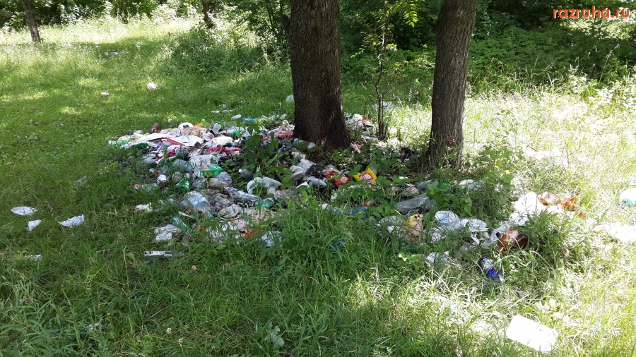 Курск - Урочище Боева дача - зона отдыха в центре города