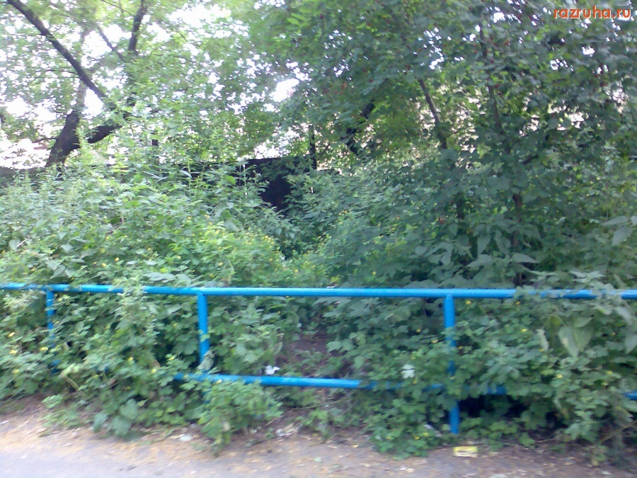 Курск - Открытые люки в зарослях