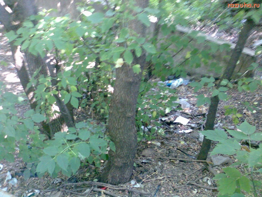 Курск - Мусор под Фрунзенским мостом