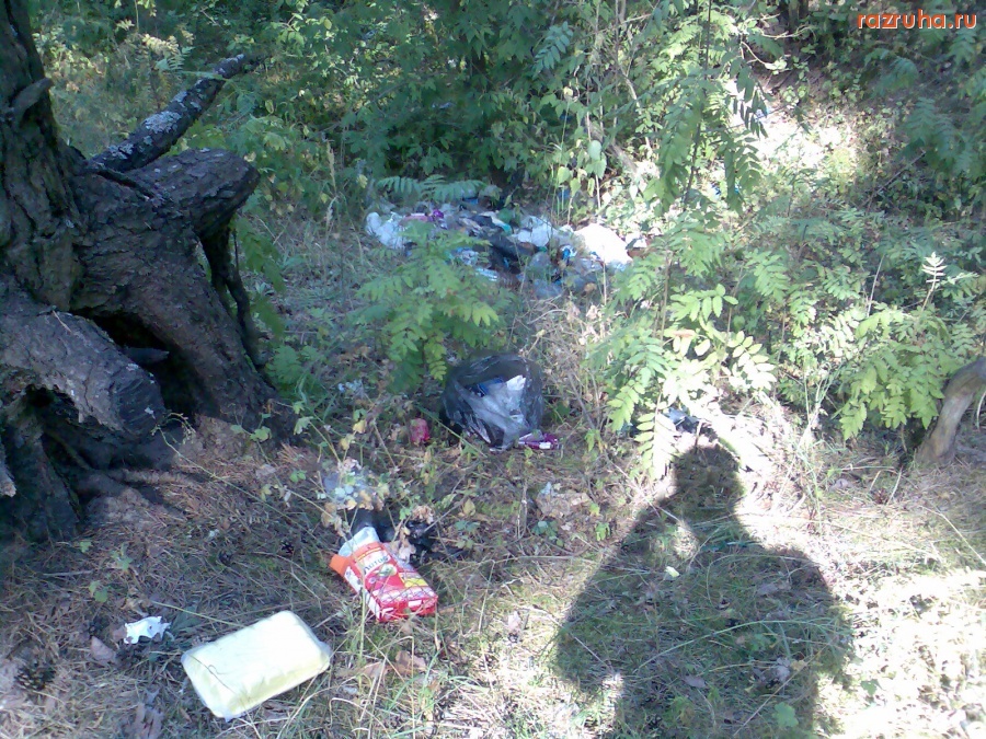 Курск - Мусор в овраге