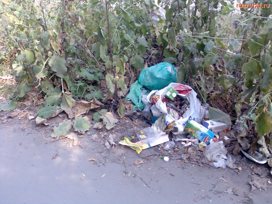 Курск - Мусор возле садика