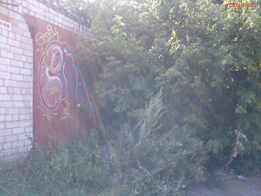 Курск - Заросший выезд из гаража