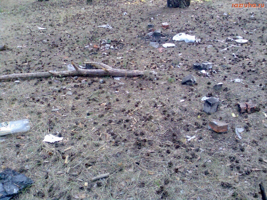 Курск - В лесу гадят