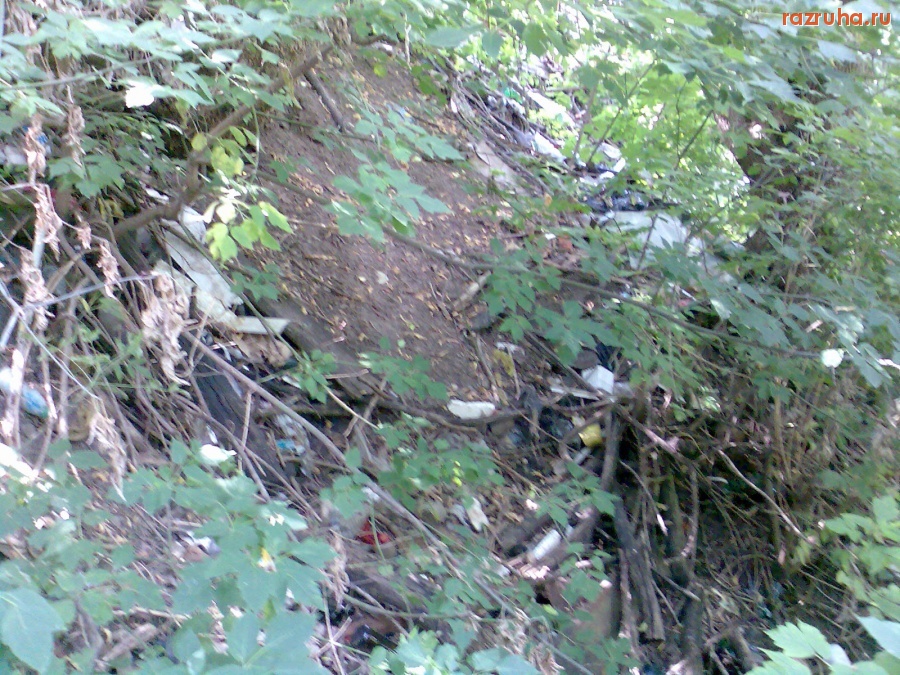 Курск - Мусор на лестнице в овраге