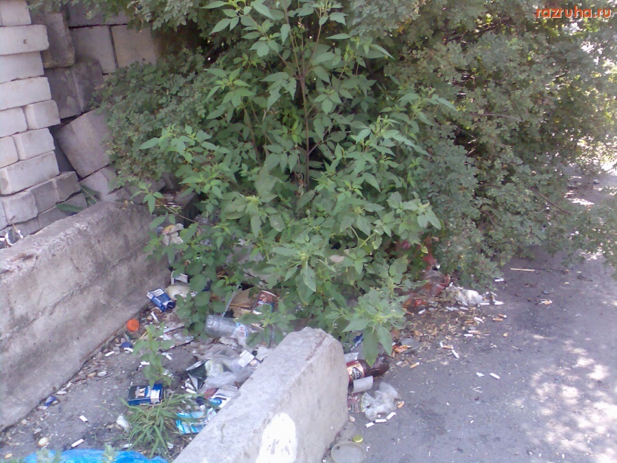 Курск - Мусор