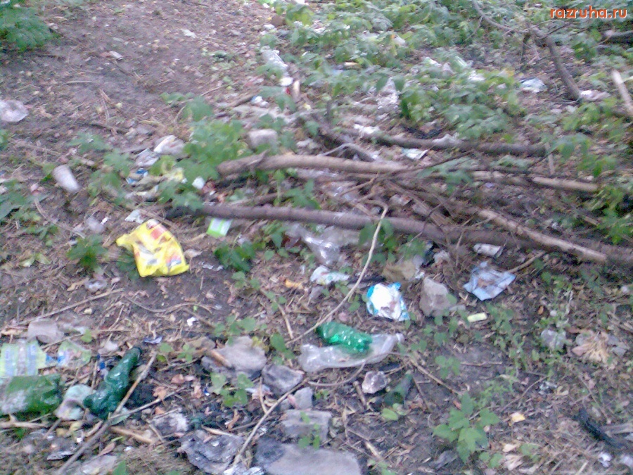 Курск - Мусор в кустах