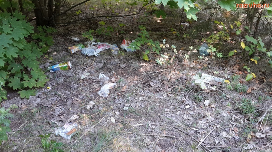 Курск - Зона отдыха Соловьиная Роща