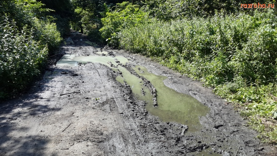 Курск - Соловьиная Роща часть 2 или зачем в Курске резиновые сопоги