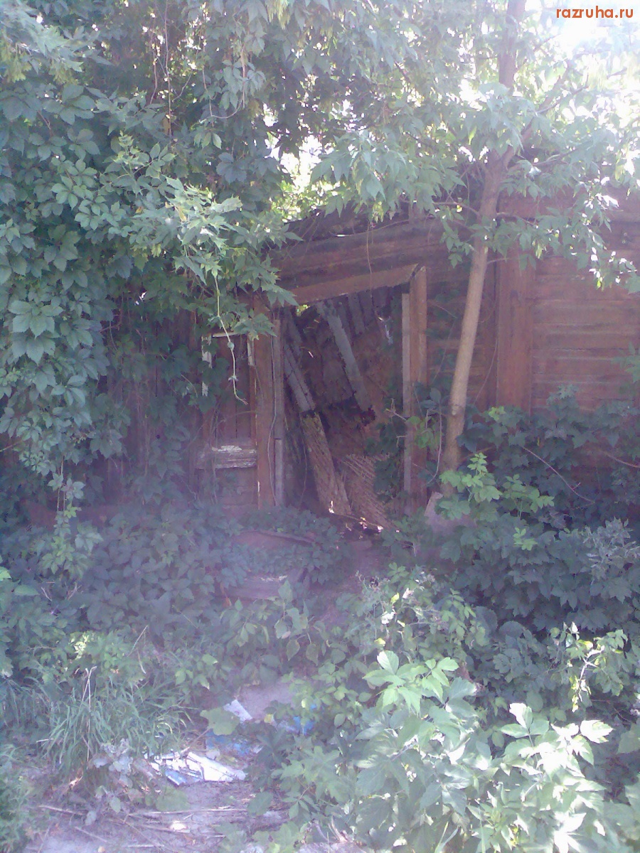 Курск - Дверь в дом