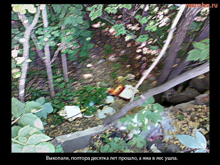 Курск - Заросшая яма