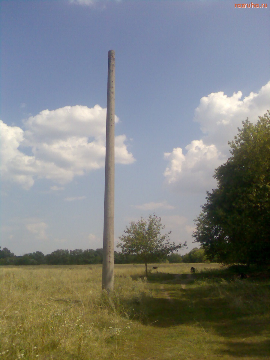 Курск - Столбы на пастбище