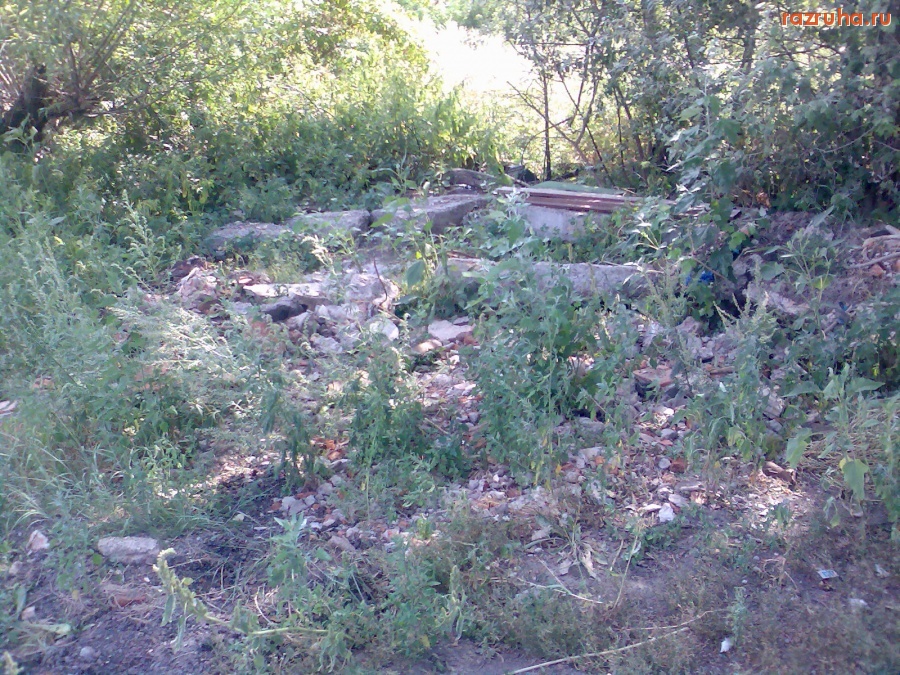 Курск - Мусор в лесу на 2 Прогонной