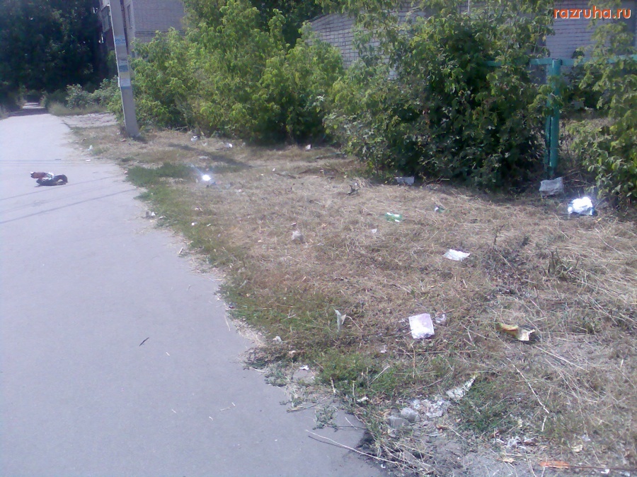 Курск - Мусор у забора