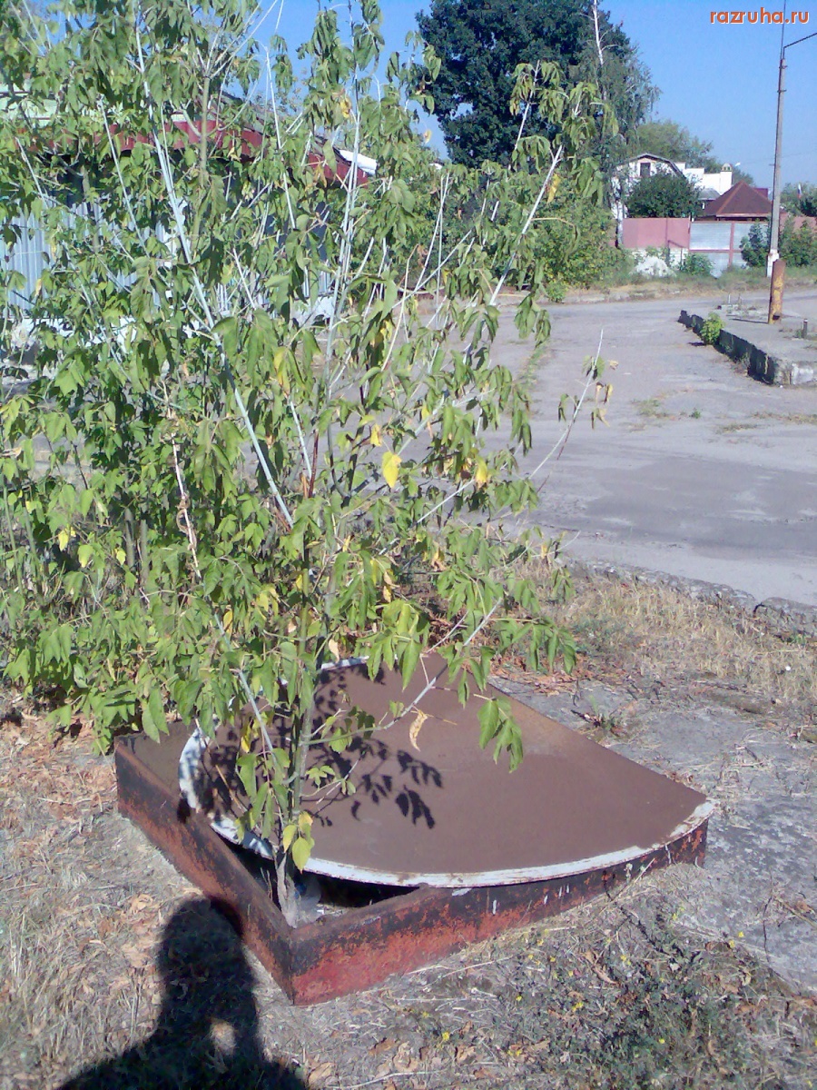 Курск - Заброшенная заправка