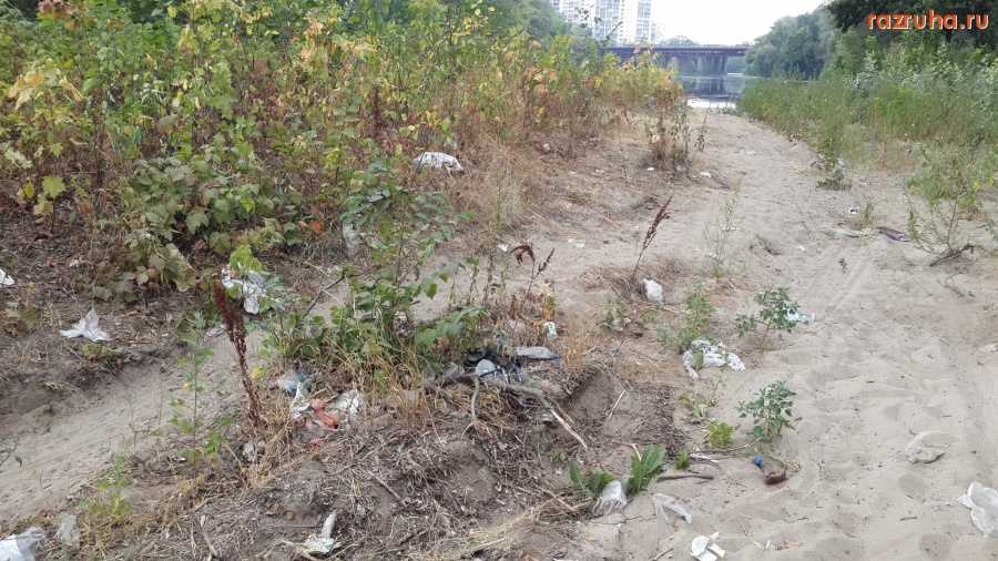 Курск - Неофициальный пляж на берегу Сейма