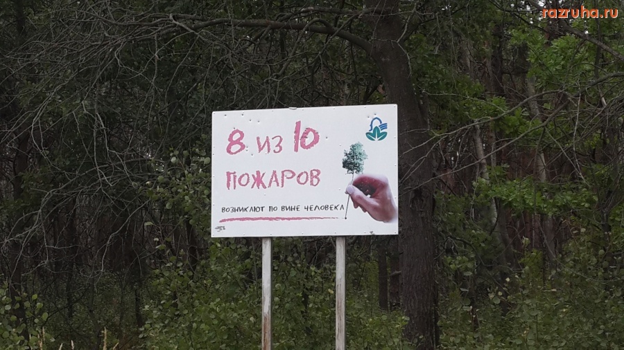 Курск - Урочище Солянка в районе улицы Заводской