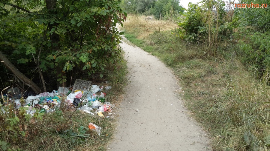 Курск - Посреди леса