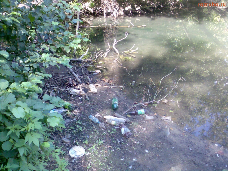 Курск - Мусор на берегу Стрелецкого озера
