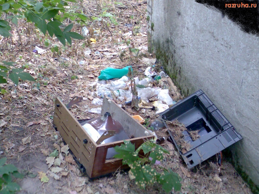 Курск - В лесу у лесничества