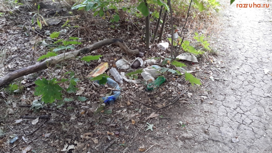 Курск - Урочище 