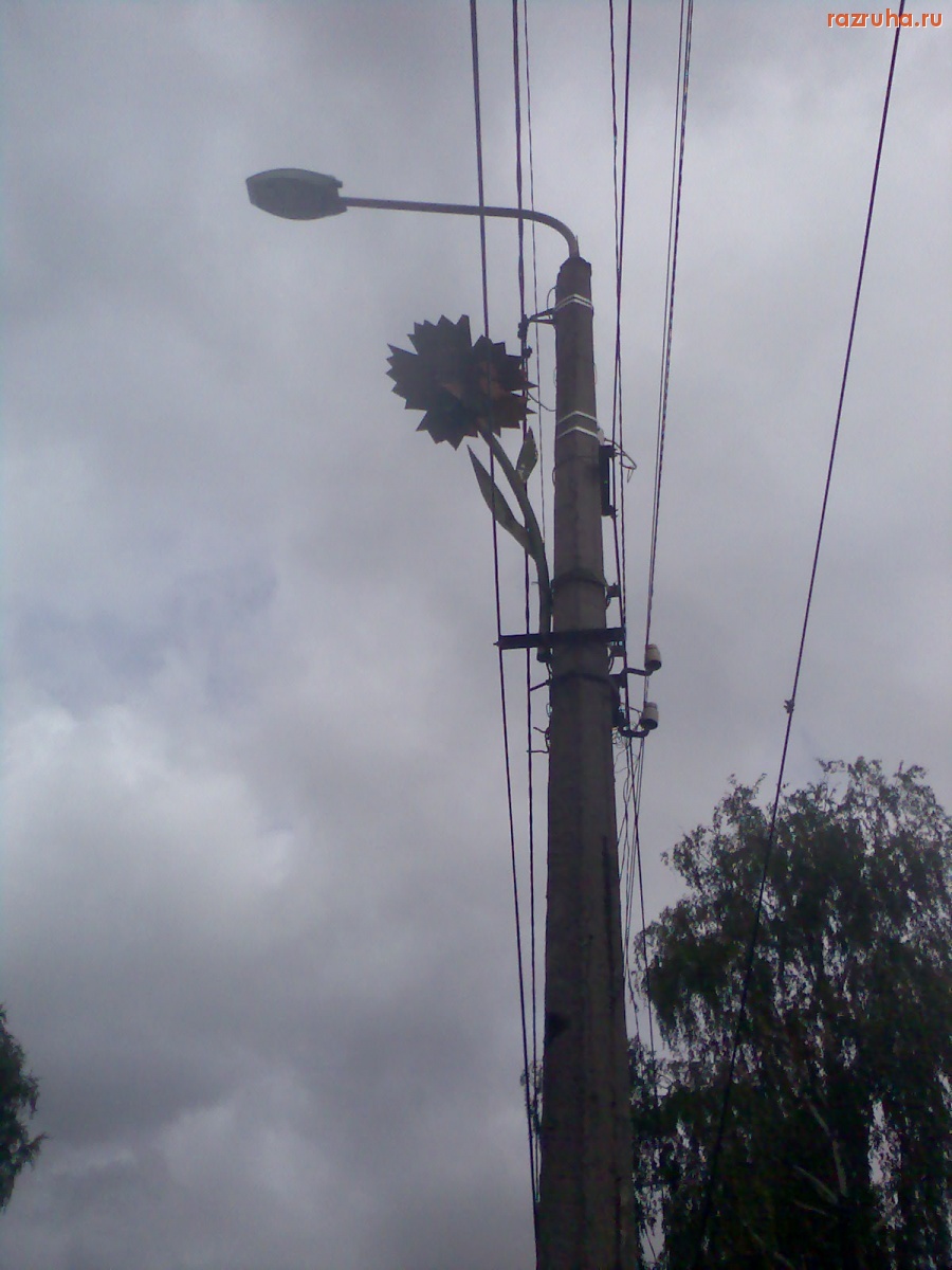 Курск - Ржавые цветы