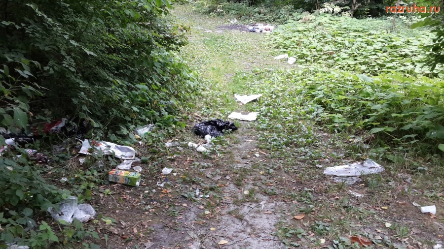 Курск - Река Сейм в районе пляжа 