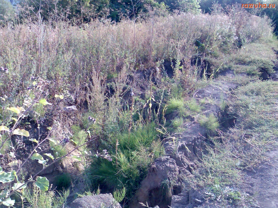 Курск - Дорога в овраг